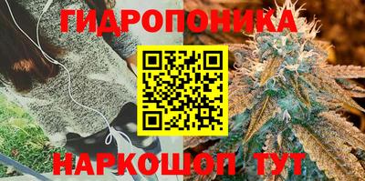 ECSTASY Малоярославец