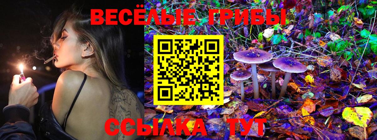 Галлюциногенные грибы Psilocybine cubensis Балашиха